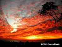 La Manzanilla Mexico Sunset photos. 03-02-07 sunset by Bernie. Costa Alegre, costalegre, Jalisco.
